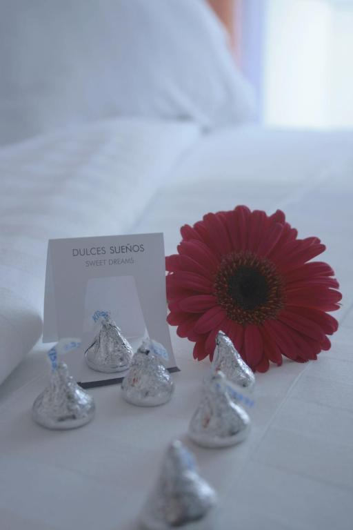 Hotel Lugano Suites Bogotá Eksteriør billede